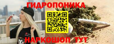 прущие грибы Заволжье