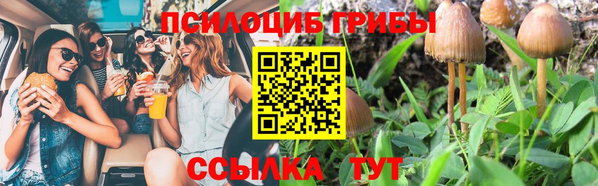 Псилоцибиновые грибы Psilocybine cubensis Майский